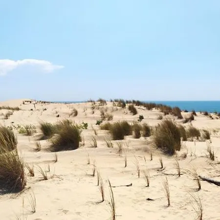 Maison 4 Pieces Pour 8 Pers. A La Palmyre Avec Animaux Admis Et Parking - Fr-1-705-100 別荘