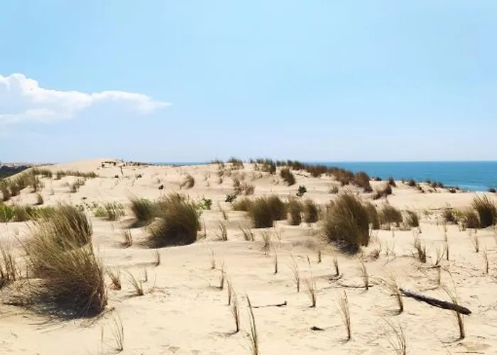 Maison 4 Pieces Pour 8 Pers. A La Palmyre Avec Animaux Admis Et Parking - Fr-1-705-100 Сasa de vacaciones