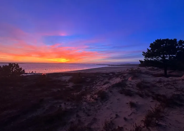 Maison 4 Pieces Pour 8 Pers. A La Palmyre Avec Animaux Admis Et Parking - Fr-1-705-100 Сasa de vacaciones *